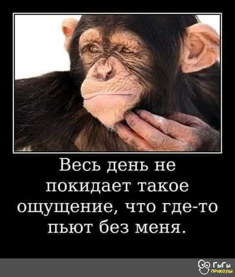 Весь день не покидает такое ощущение что где то пьют без меня 99