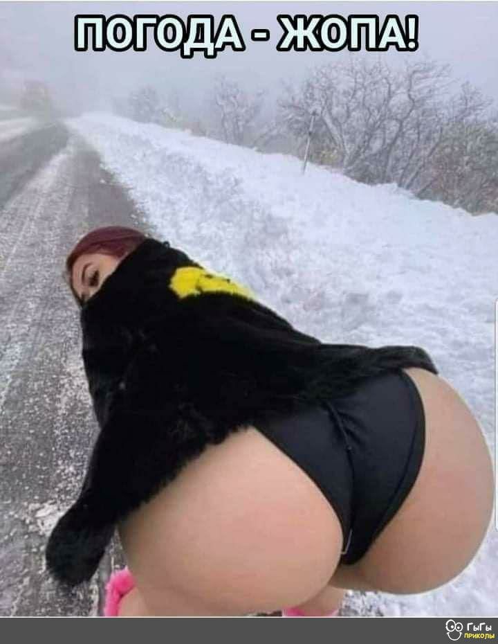 ПФГФДА ЖОПА