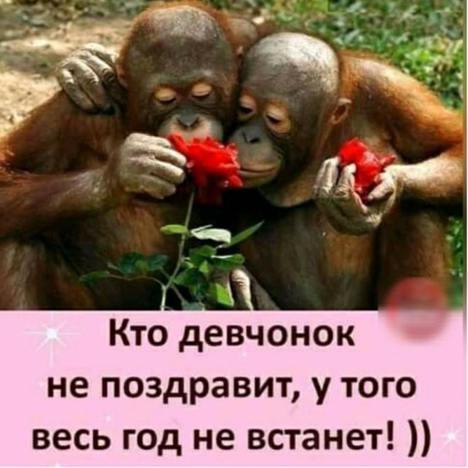Кто девчонок не поздравит у того весь год не встанет