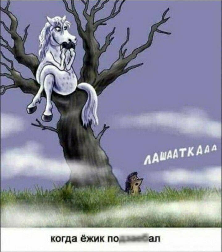 когда ёжик пом сал