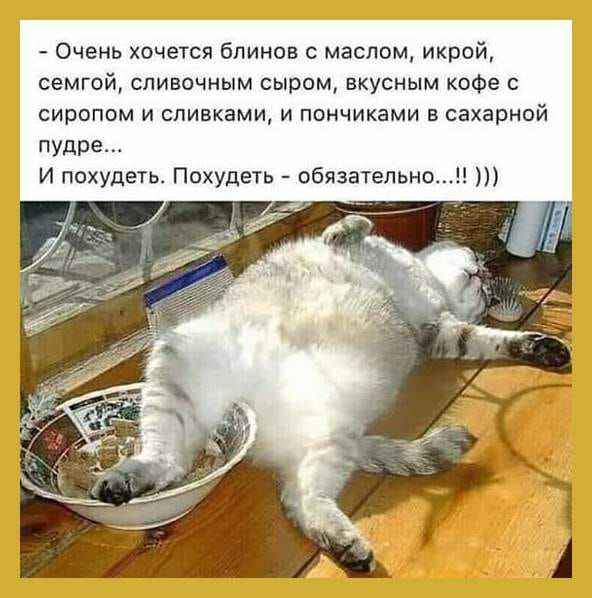 Очень хочется блинов с маслом икрой семгой сливочным сыром вкусным кофе сиропом И СПИВКЗМИ И ПОНЧИКЭМИ В сахарной пудре И похудеть Похудеть обязательно