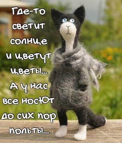 АЩцайс4 все иэеЮт до сих по г