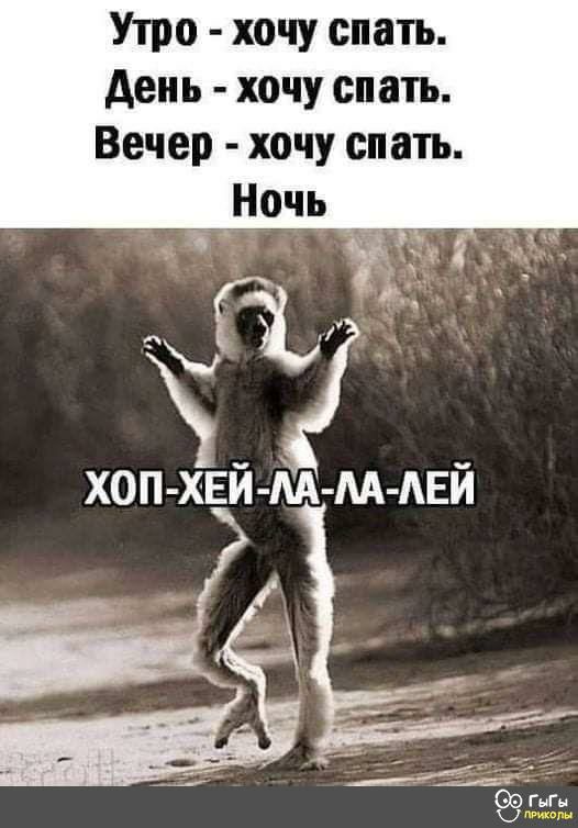 Утро хочу спать день хочу спать Вечер хочу спать _ Ночь чб хоп хвй м м Авй