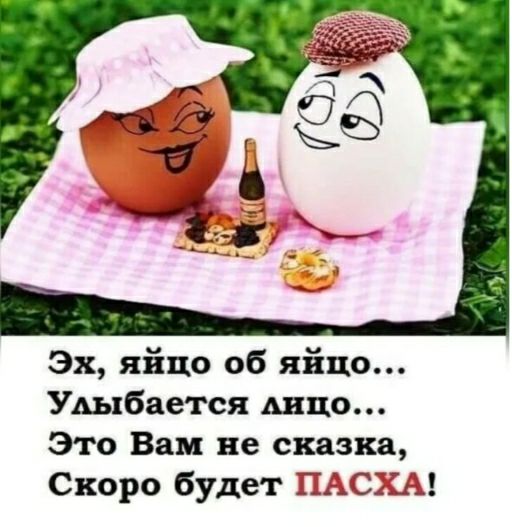 Эх яйцо об яйцо Удыбается Аида Это Вам не сказка Скоро будет 15021