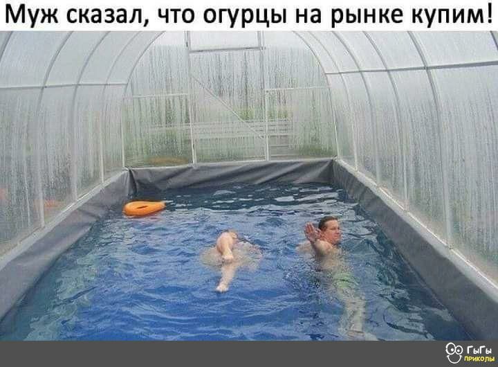 Муж сказал что огурцы на рынке купим