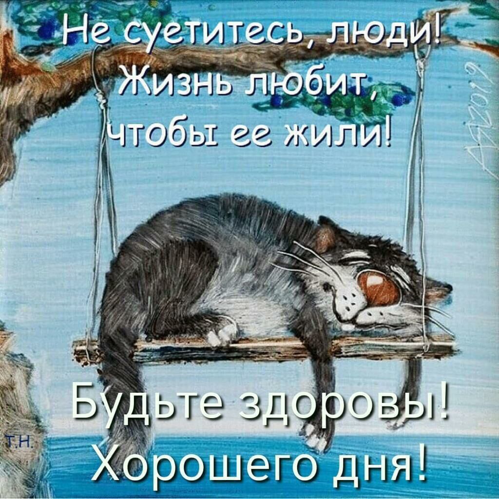 ' 3 ; ко '!'ёеа  чтобвт 22 ии