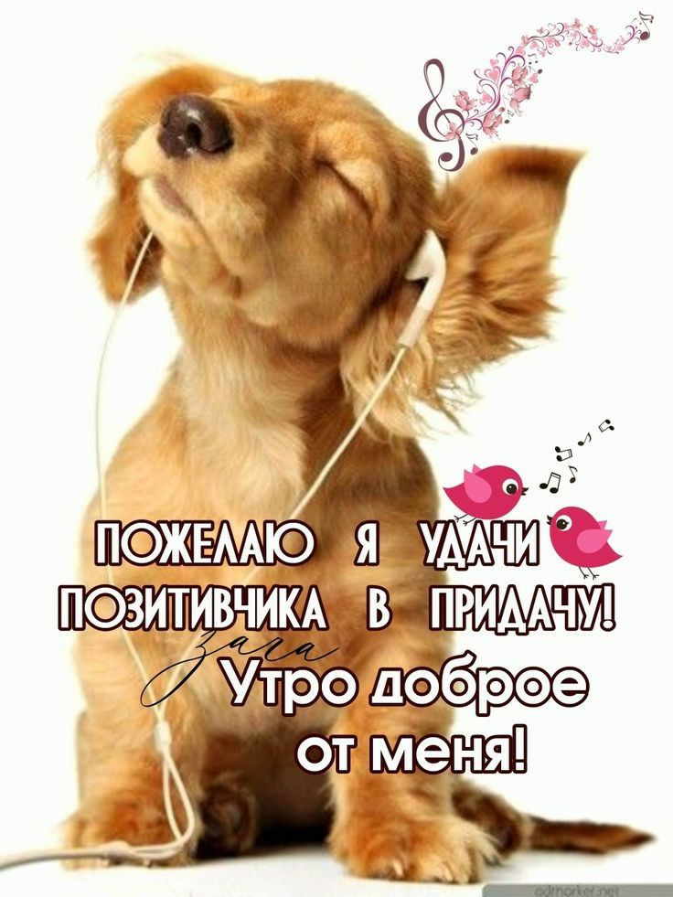 ПЗИТИКА В