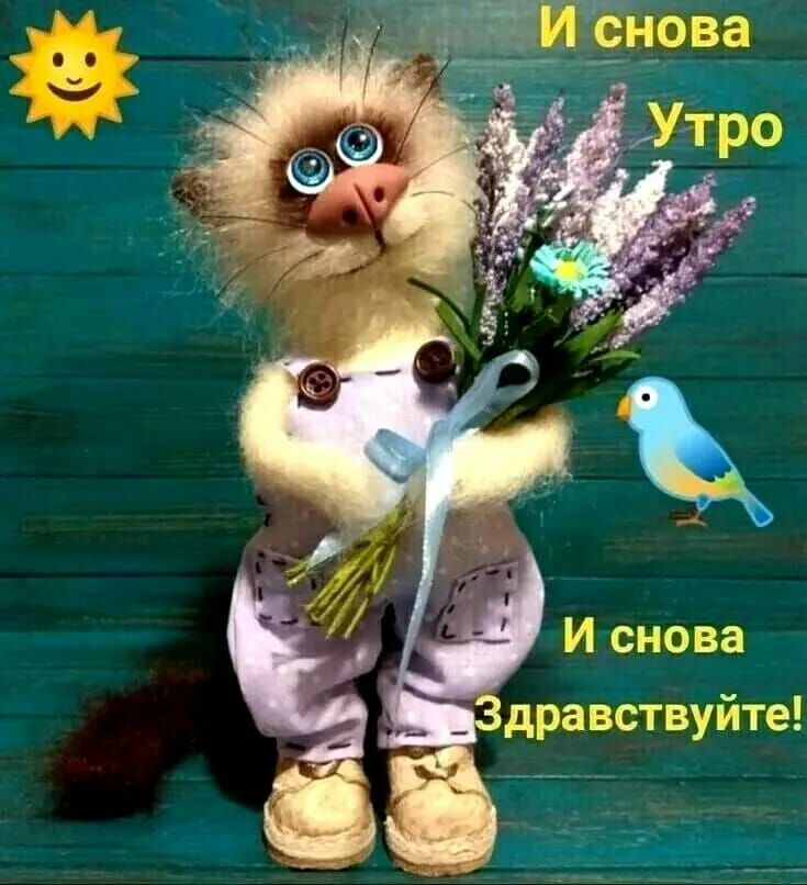 зщ енова УТЬО