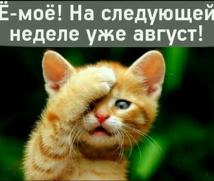 Ё моё На следующей неделе уже август