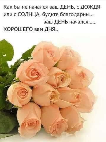 Как бы не начался ваш день дождя или СОЛНЦА будьте благодарны ваш ДЕНЬ начала ХОРОШЕГО вам ДНЯ