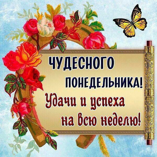 Понедельника! Ндачи й цепеха ана бсю неделю! .