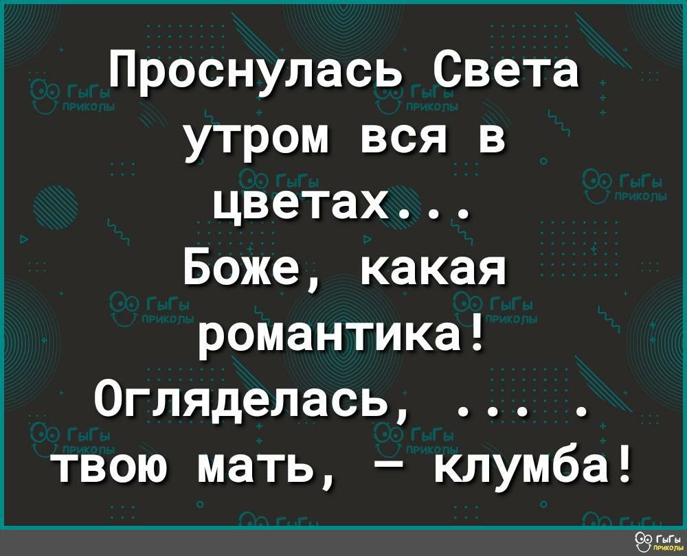 Проснулась Света утром вся в цветах Боже какая романтика Огляделась твою мать клумба ГьАн