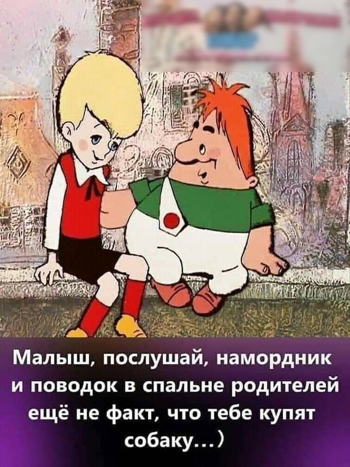 Малыш послушай намордник и поводок в спальне родителей ещё не факт что тебе купят собаку