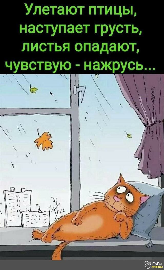 нааэтугваёіт гг ПЕЕСТЫТ Ш П здают тпауиіа
