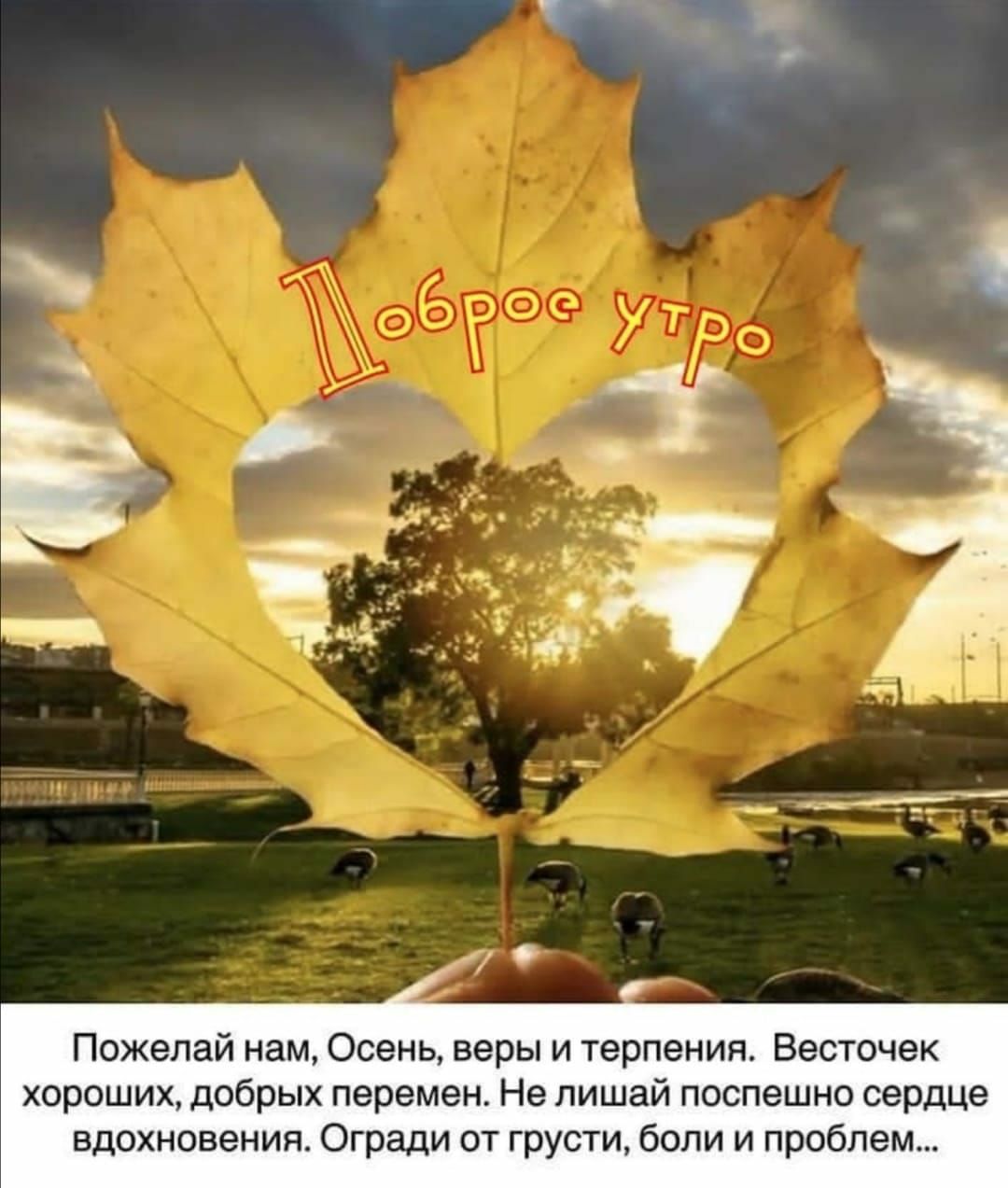 Пожелай нам Осень веры и терпения Весточек хороших добрых перемен Не лишай поспешно сердце вдохновения Огради от грусти боли и проблем