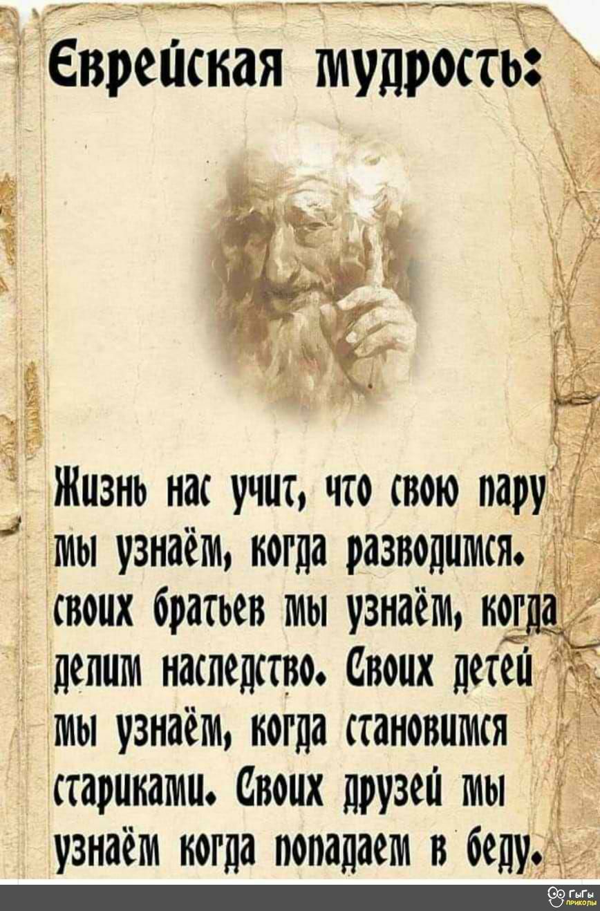 Мтдптхдтщ Еврешкая минтай 3 мы узнаём когда становится шариками Своих друзей мы узнаём когда попадаем пбедуд
