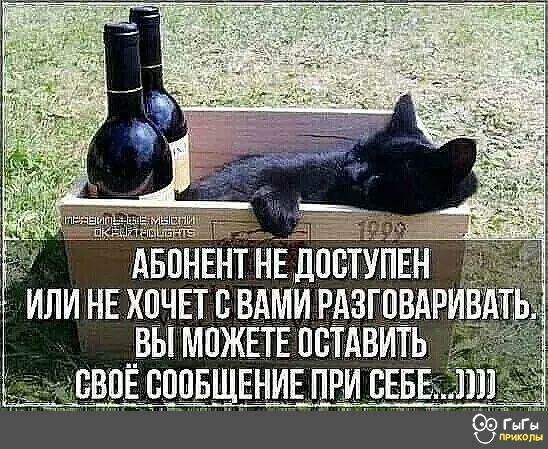 Абонент не дпступен или не хочет с вами разговар! Вы можете оставить своё сообщение при себ