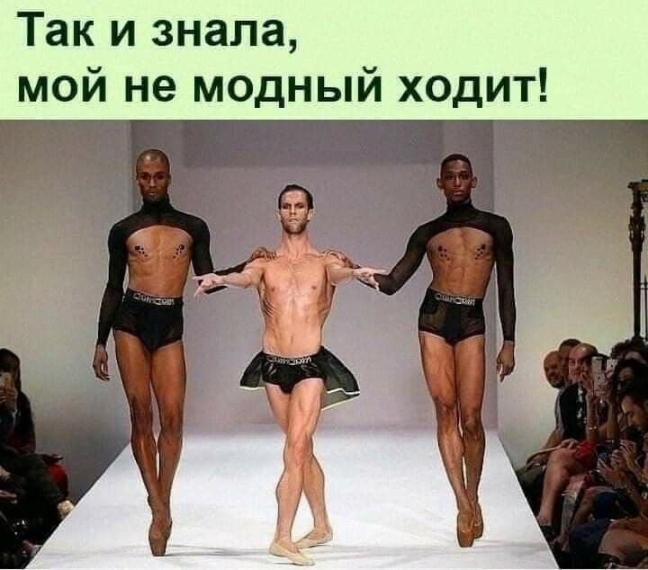 Так и знала мой не модный ходит