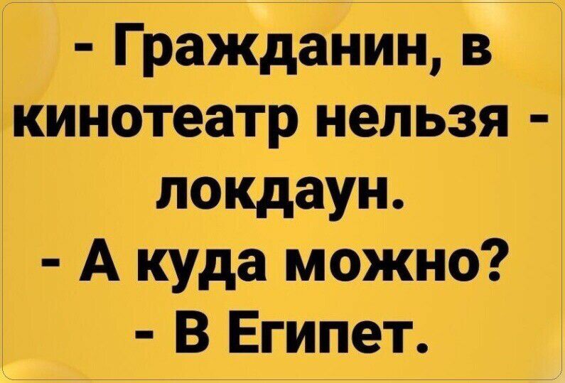 Гражданин в кинотеатр нельзя нокдаун А Куда можно В Египет