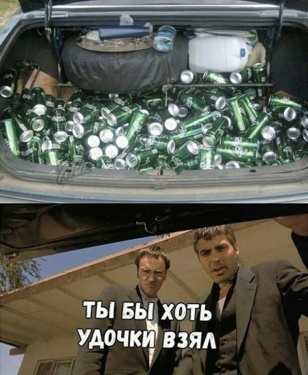 ты ввц хоть удачи взял