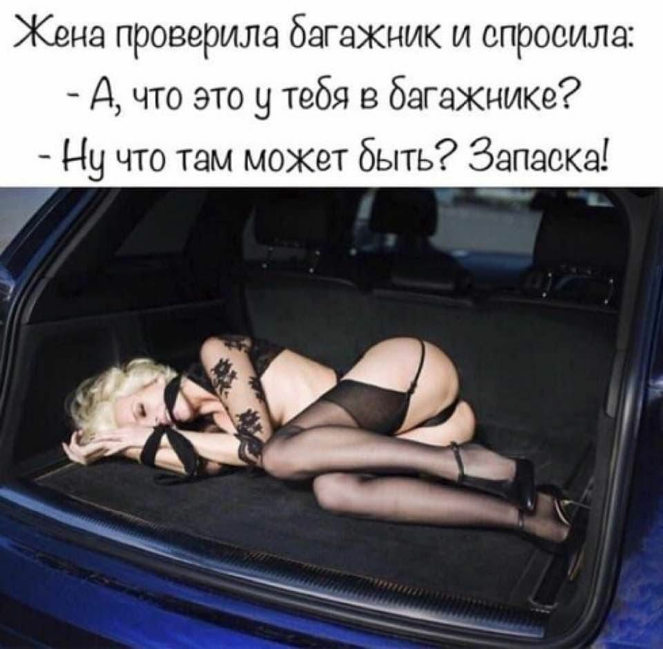 Жена проверила багажник и спросила А что это у тебя в багажнике Ну что там мокет быть Запаска