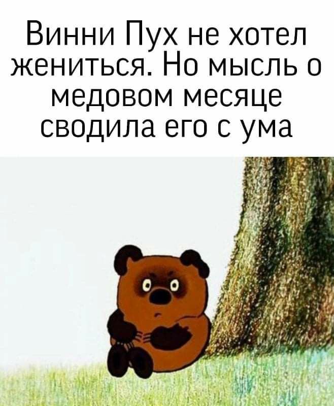 Винни Пух не хотел жениться Но мысль о медовом месяце сводила его с ума