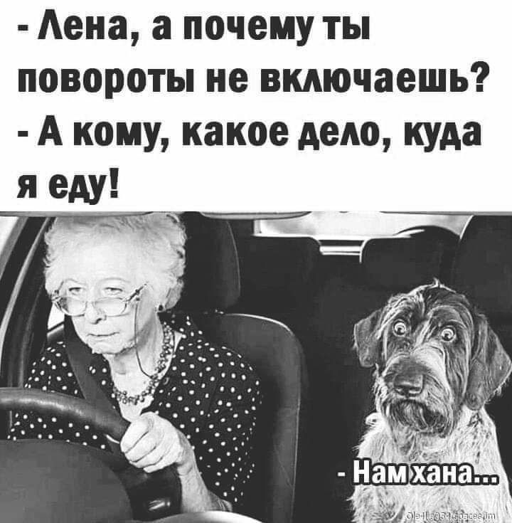 Аена а почему ты повороты не включаешь А кому какое дело куда