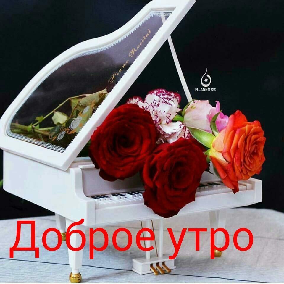Добраё утро