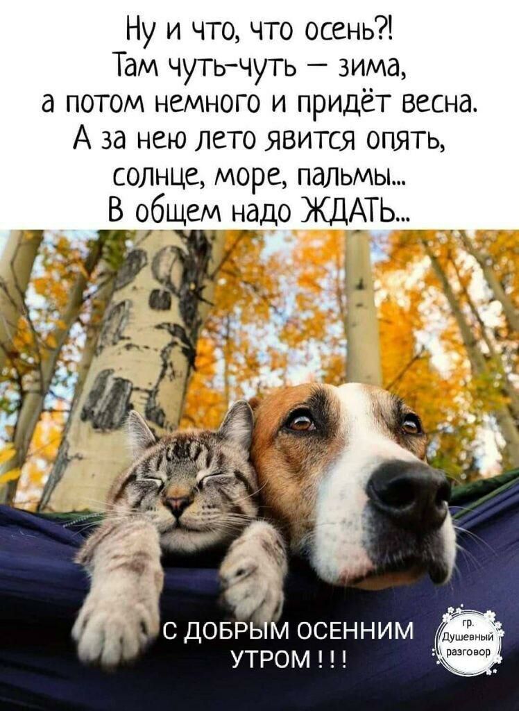 Ну и что что осень Там чутьчуть зима а потом немного и придет весна А за нею лето явится опять солнце море пальмы В обще нёдо ЖДАТЬ_ __ с доврь м ОСЕННИМ утром С