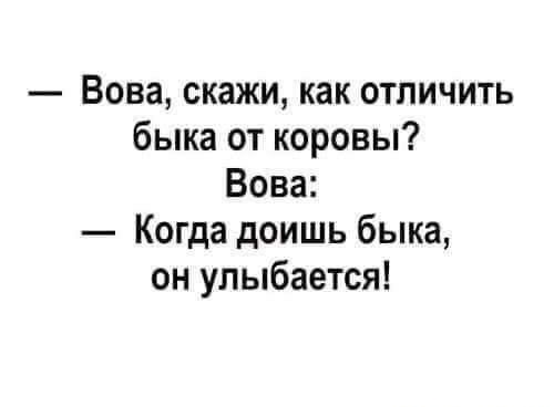 Вова скажи как отличить быка от коровы Вова Когда доишь быка он улыбается