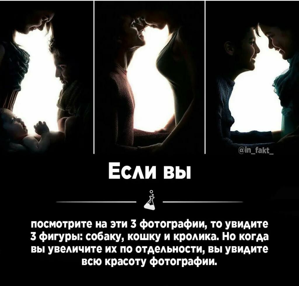 ЕсАи вы __ ё __ посмотрите на эти 3 фотографии то увидите 3 фигуры собаку кошку и кродика Но когда вы увеличите их по отдедьности вы увидите всю красоту фотографии