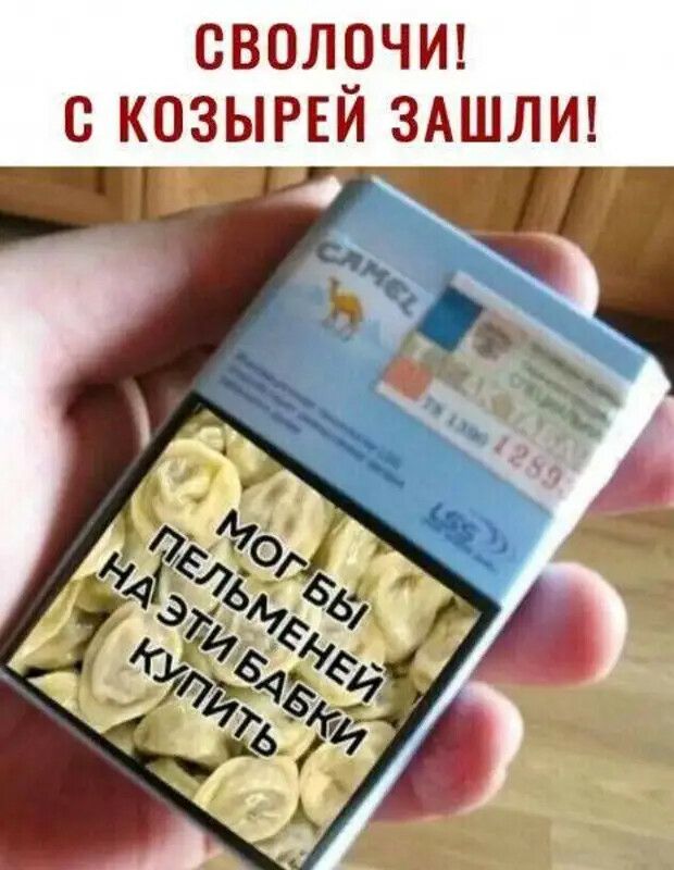 СВОЛРЧИ козырви ЗАШЛИ