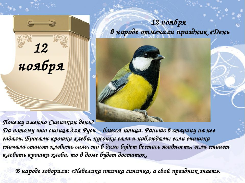 12 ноября в народ пишиш праздник Фсиъ Почему именно Синичкин день Ша тому что сииииа для туси Божья шпица Раньше в старину иа ии гадали Ъросали крошки неба кусачки сала и наблюдали если синиика сначала станет клевать сало то 0 Вам Будет вестись жидкость если станет клевать крошки тебя то 0 доме Будет достатк В народе говорили Ясбслика птичка сииичкд а сбой праздник знает