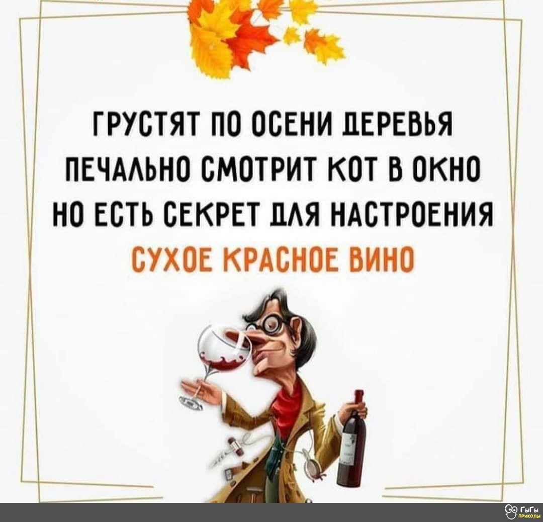 грустят по осени лврввья пвчмьно смотрит кот в окно но Есть секрет пАя НАСТРОЕНИЯ сухов китенок вино