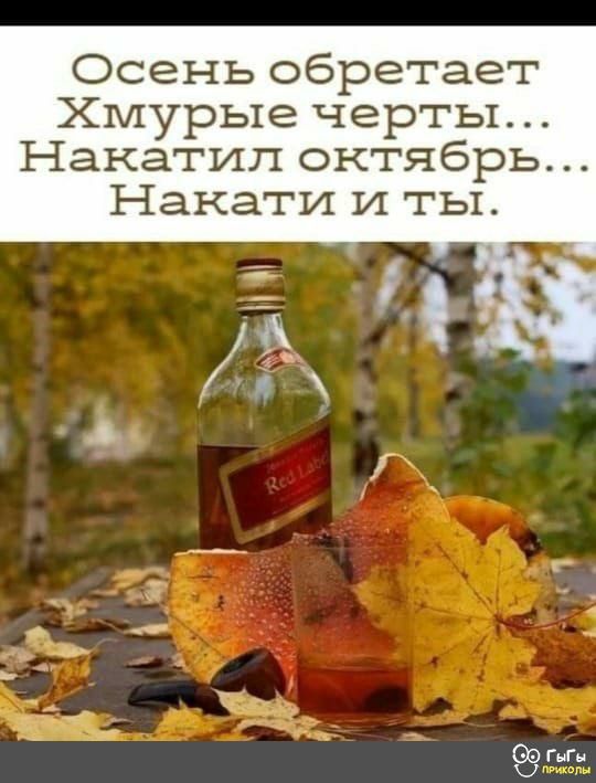Осень обретает Хмурые черты Накатип октябрь Накати И ты _ 03