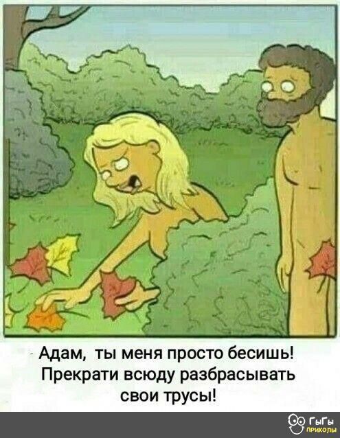 Адам ты меня просто бесишь Прекрати всюду разбрасывать свои трусы