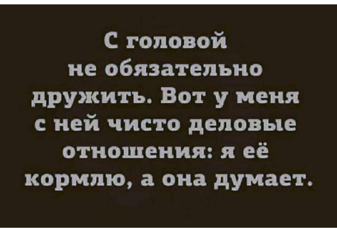 С головой не обязательно дружить Вот у меня с ней чисто деловые отношения я её кормлю а она думает