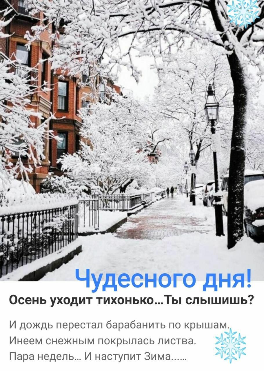 Чудесного дня Осень уходит тихонькоТы слышишь И дождь перестал барабанить по крышамА 4 4 Инеем снежным покрылась ЛИСТВд _ Пара недель И наступит Зима_