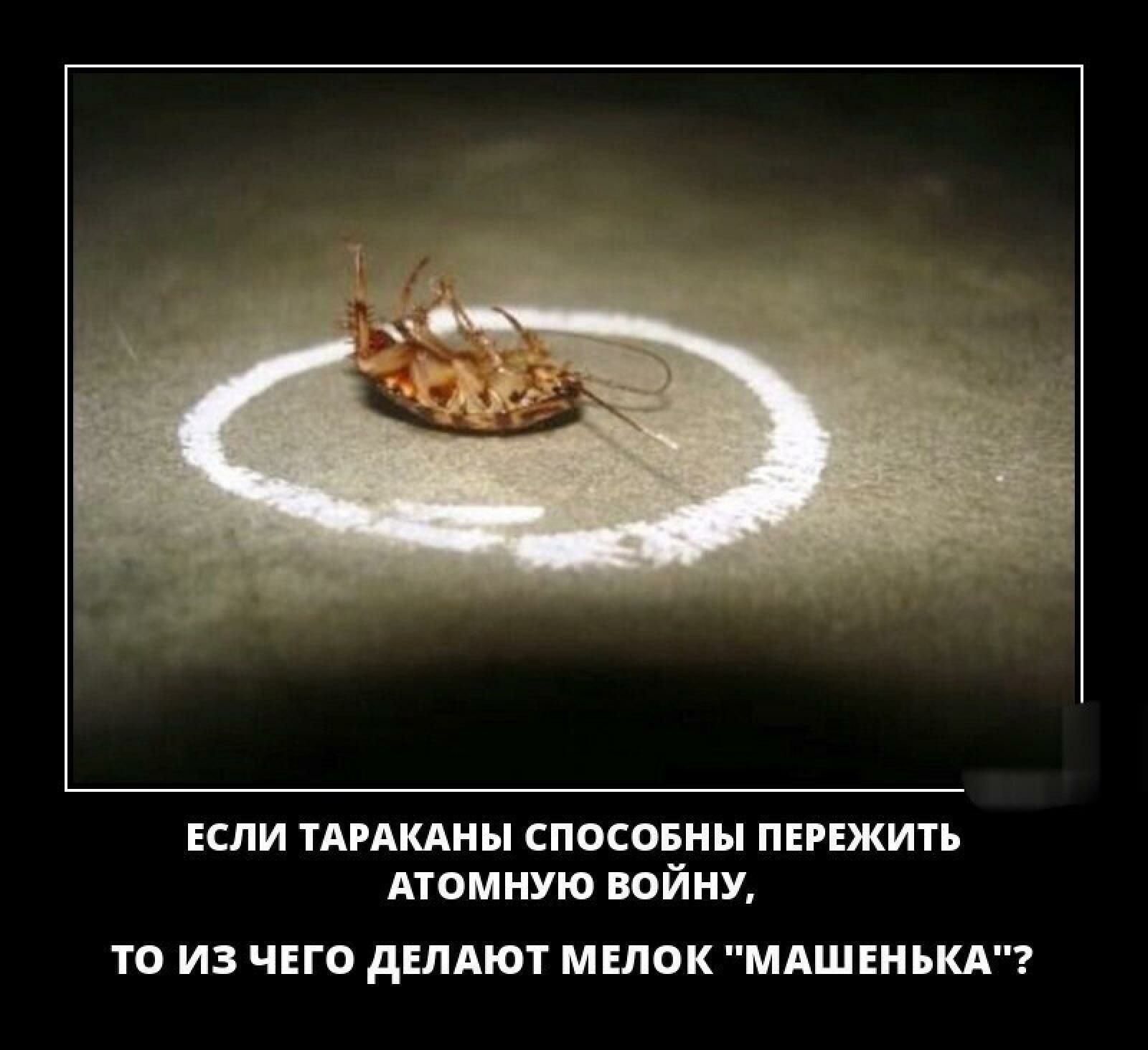 ЕСЛИ ТАРАКАНЫ спосовны пврвжить АТОМНУЮ войну ТО ИЗ ЧЕГО дЕЛАЮТ МЕЛОК МАШ ЕН ЬКА