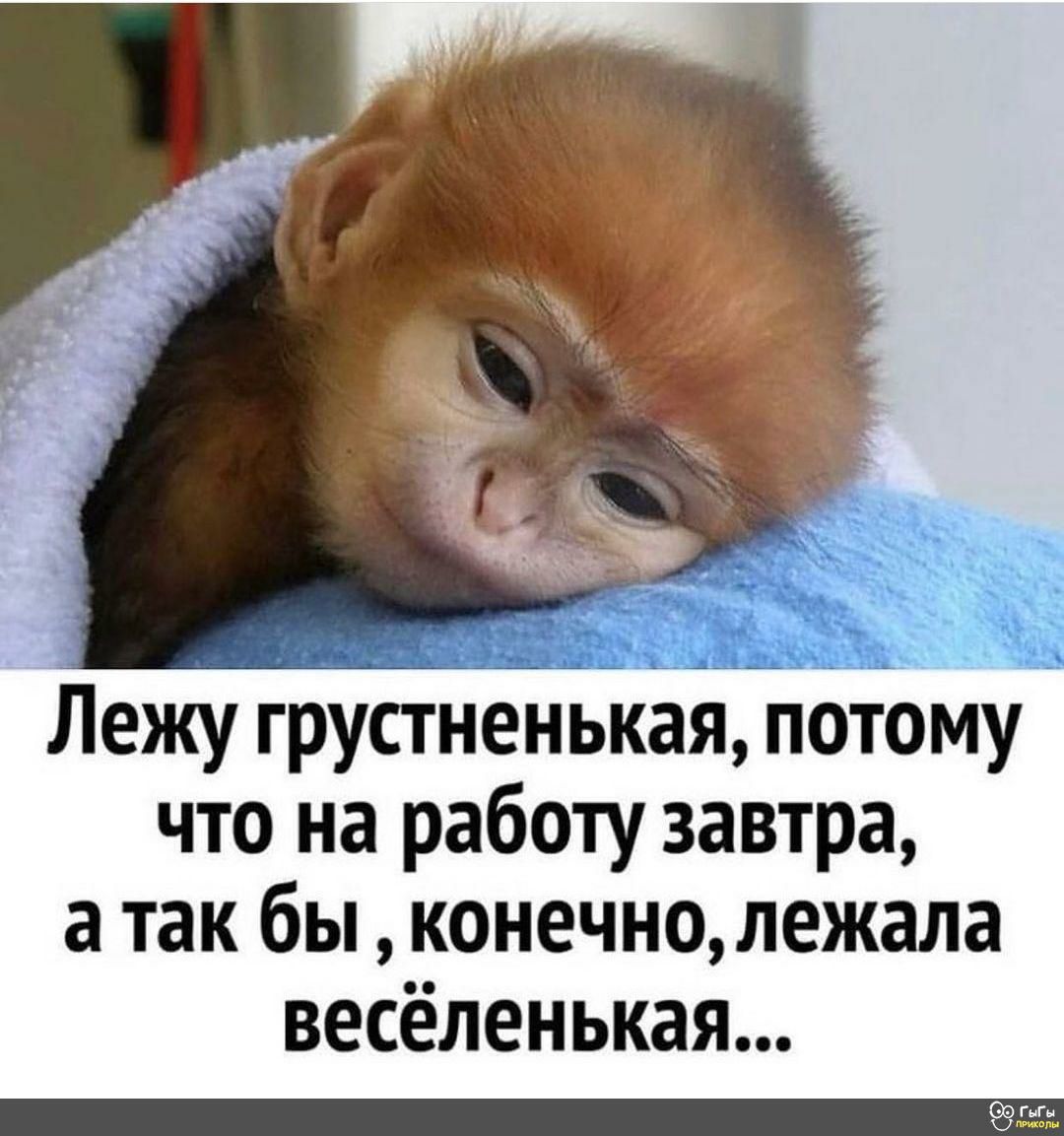 Лежу грустненькаяпотому что на работу завтра а так бы конечнонежала весёленькая