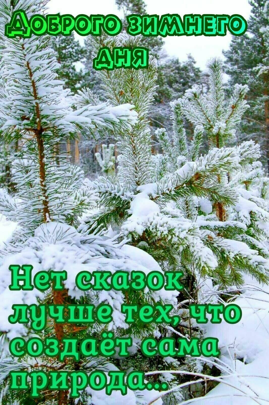 а Ё __ _ Ч Эм ч 1 Ёж _ ь 11 ет Ёказрк 4 Эд