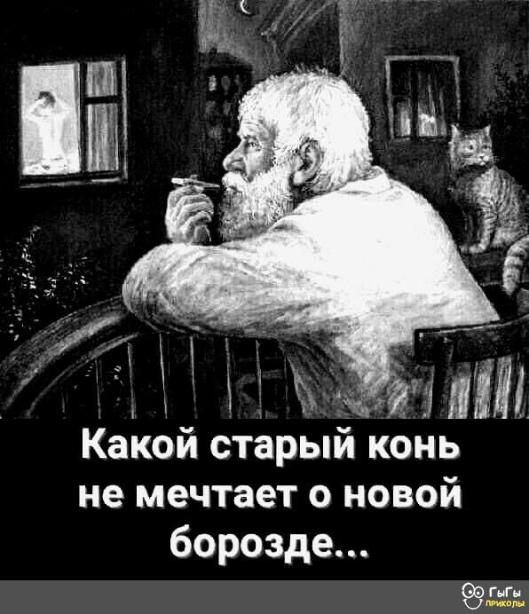Какой старый КОНЬ не мечтает 0 НОВОЙ борозде гпчпг Ы