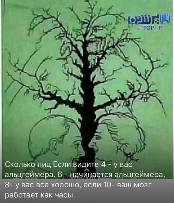 ё _ к _ с _ г л г Ф Сколько ііиц Если видитё 4 у вас тг ймепа 6 __ тся ьцгеймера