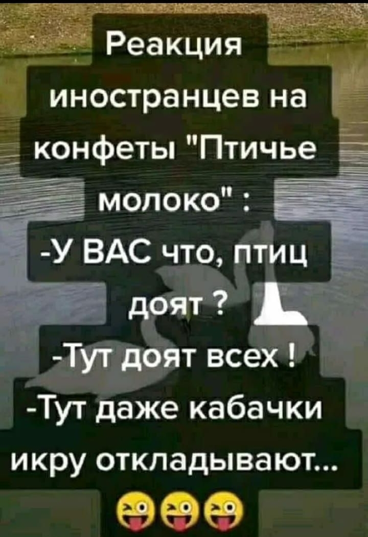 дчёёз_ реакция иностранцев на 1 _ ТУЁ219ЁЯТ всёх _ Тут даже кабачки икру откладывают 999