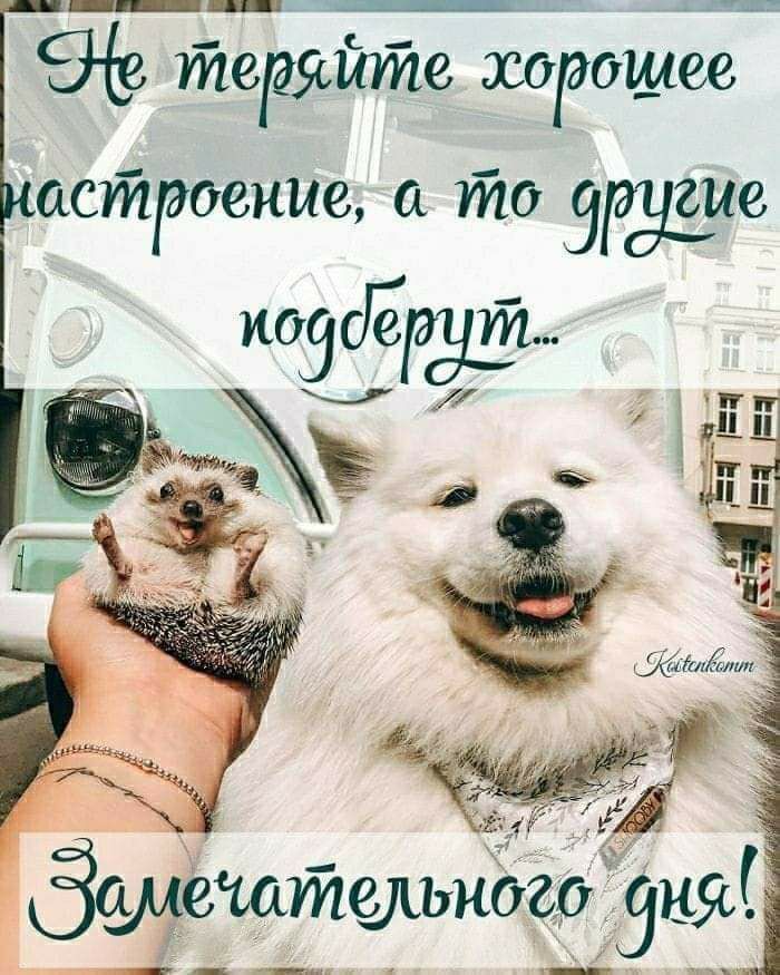 теряйте хдрощёеь астйроение то ЗРЭЁЮ иаЁЁ или тэг Замечаташного аня ___