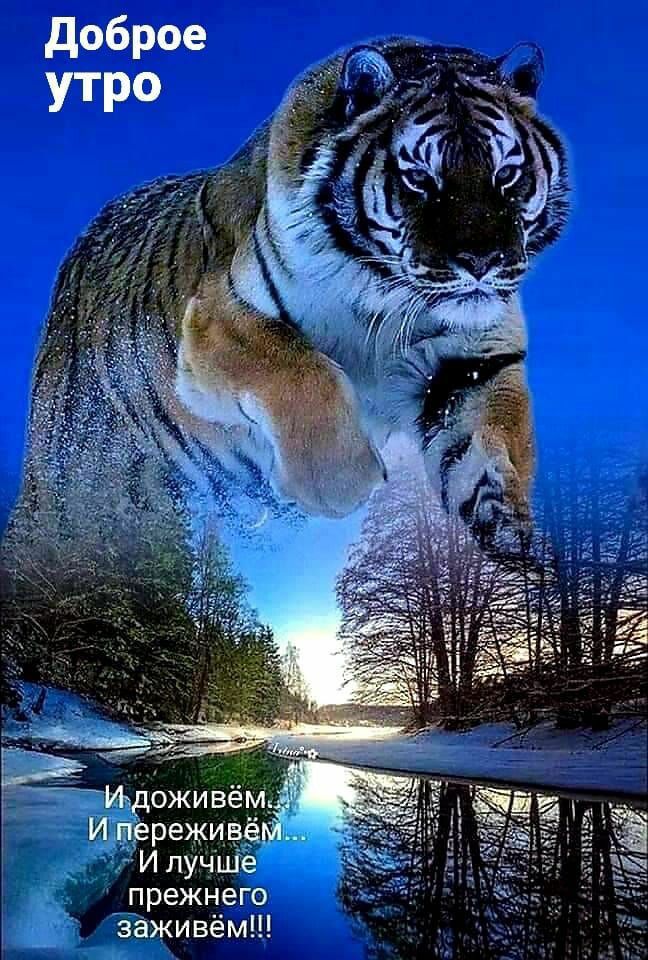 Ёаживём Ш