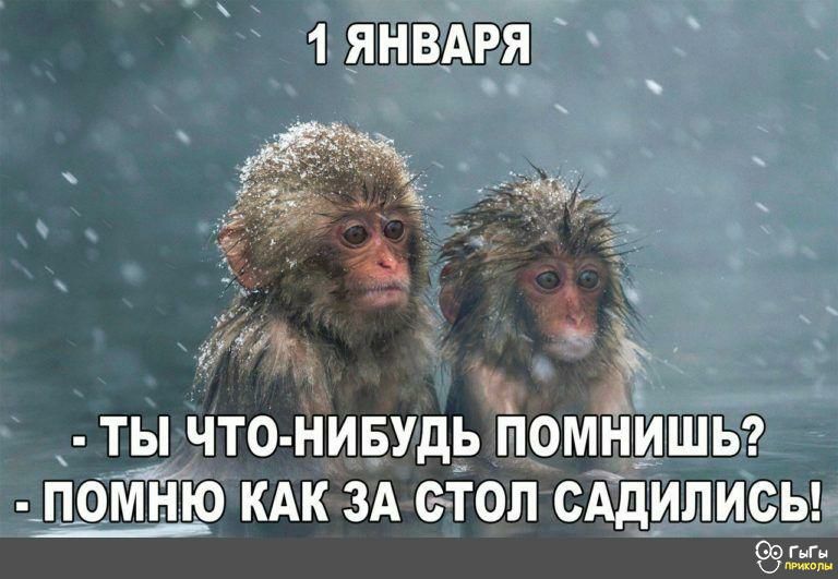 1 ЯНВАРЯ г Ты ЧТО НИБУДЬ ПОМЁ ПОМНЮ КАК ЗА СТОЛ СА ИЛИСЬ гыгы _