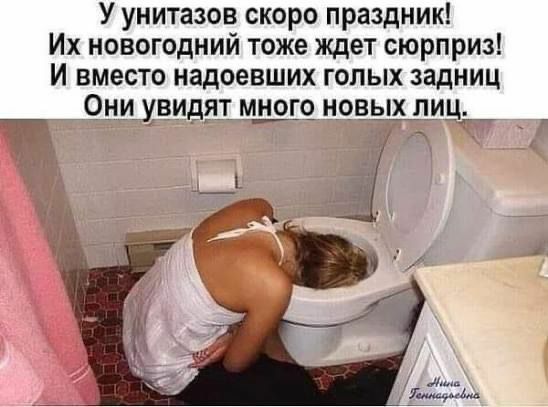 У унитазов скоро праздник Их новогодний тоже ждет сюрприз И вместо надоевших голых задниц ОНИ увидят М_НЩЧ НОВЫЬЛИЦ _