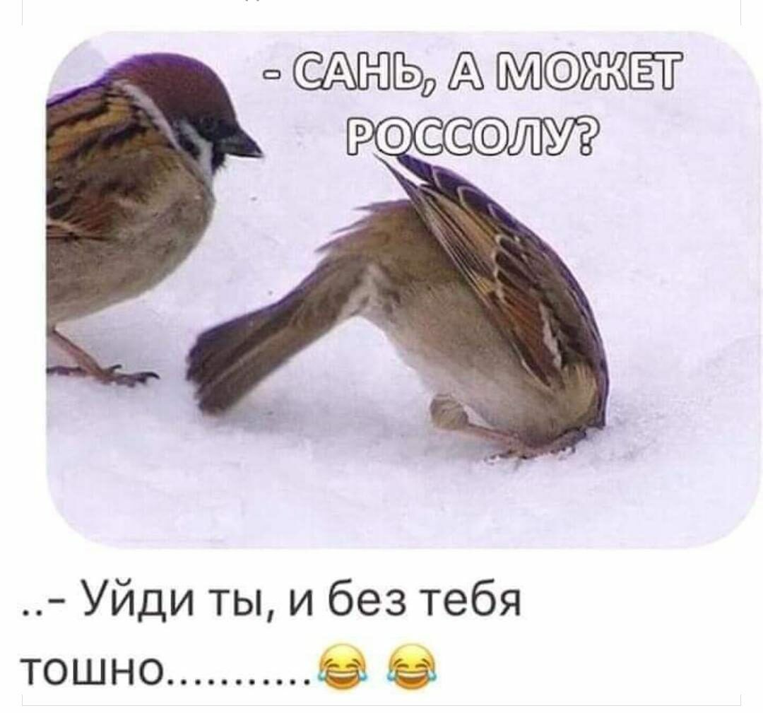 ЖЁЁ РС Уйди ты и без тебя тошно