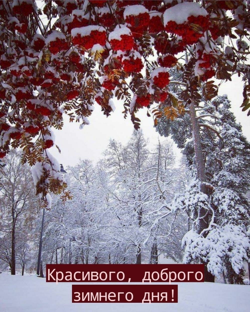 зимнего дня